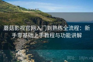 蘑菇影视官网入门到熟练全流程：新手零基础上手教程与功能讲解