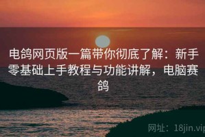 电鸽网页版一篇带你彻底了解：新手零基础上手教程与功能讲解，电脑赛鸽