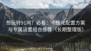 想玩转91网？必看：个性化配置方案与专属设置组合推荐（长期整理版）