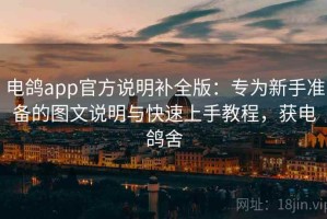 电鸽app官方说明补全版：专为新手准备的图文说明与快速上手教程，获电鸽舍