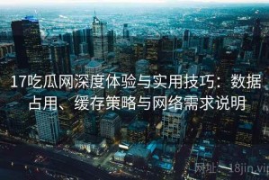 17吃瓜网深度体验与实用技巧：数据占用、缓存策略与网络需求说明