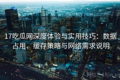 17吃瓜网深度体验与实用技巧：数据占用、缓存策略与网络需求说明