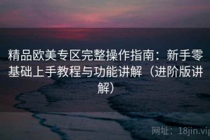 精品欧美专区完整操作指南：新手零基础上手教程与功能讲解（进阶版讲解）