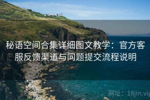 秘语空间合集详细图文教学：官方客服反馈渠道与问题提交流程说明