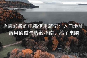 收藏必备的电鸽使用笔记：入口地址、备用通道与收藏指南，鸽子电脑