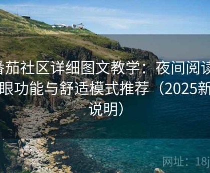 番茄社区详细图文教学：夜间阅读、护眼功能与舒适模式推荐（2025新版说明）