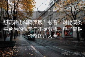 想玩转电鸽网页版？必看：对比同类平台后的优势与不足分析，电子鸽钟价格图片大全