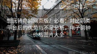 想玩转电鸽网页版？必看：对比同类平台后的优势与不足分析，电子鸽钟价格图片大全