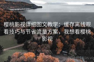 樱桃影视详细图文教学：缓存离线观看技巧与节省流量方案，我想看樱桃影视