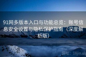 91网多版本入口与功能总览：账号信息安全设置与隐私保护指南（深度解析版）