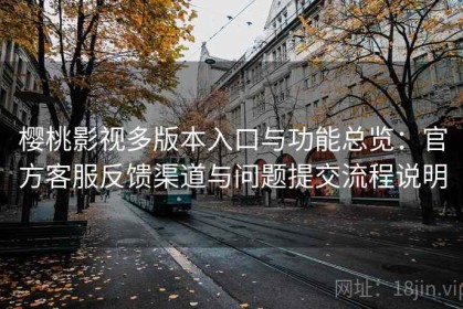 樱桃影视多版本入口与功能总览：官方客服反馈渠道与问题提交流程说明