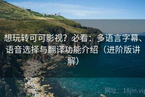 想玩转可可影视？必看：多语言字幕、语音选择与翻译功能介绍（进阶版讲解）