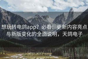想玩转电鸽app？必看：更新内容亮点与新版变化的全面说明，天鸽电子