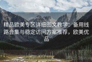 精品欧美专区详细图文教学：备用线路合集与稳定访问方案推荐，欧美优品