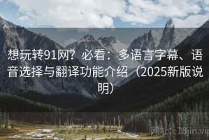 想玩转91网？必看：多语言字幕、语音选择与翻译功能介绍（2025新版说明）