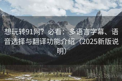 想玩转91网？必看：多语言字幕、语音选择与翻译功能介绍（2025新版说明）