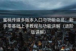 蜜桃传媒多版本入口与功能总览：新手零基础上手教程与功能讲解（进阶版讲解）