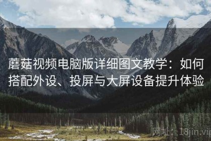 蘑菇视频电脑版详细图文教学：如何搭配外设、投屏与大屏设备提升体验
