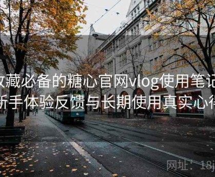 收藏必备的糖心官网vlog使用笔记：新手体验反馈与长期使用真实心得