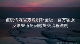 蜜桃传媒官方说明补全版：官方客服反馈渠道与问题提交流程说明