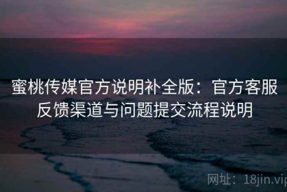 蜜桃传媒官方说明补全版：官方客服反馈渠道与问题提交流程说明