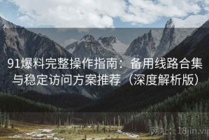 91爆料完整操作指南：备用线路合集与稳定访问方案推荐（深度解析版）