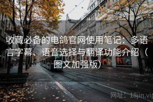 收藏必备的电鸽官网使用笔记：多语言字幕、语音选择与翻译功能介绍（图文加强版）