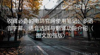 收藏必备的电鸽官网使用笔记：多语言字幕、语音选择与翻译功能介绍（图文加强版）