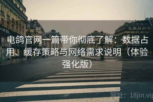 电鸽官网一篇带你彻底了解：数据占用、缓存策略与网络需求说明（体验强化版）