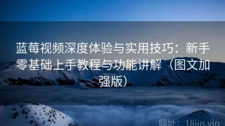 蓝莓视频深度体验与实用技巧：新手零基础上手教程与功能讲解（图文加强版）