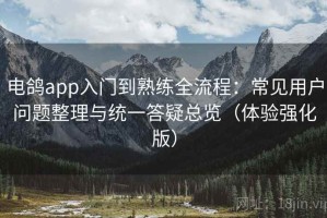 电鸽app入门到熟练全流程：常见用户问题整理与统一答疑总览（体验强化版）