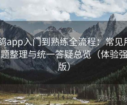 电鸽app入门到熟练全流程：常见用户问题整理与统一答疑总览（体验强化版）