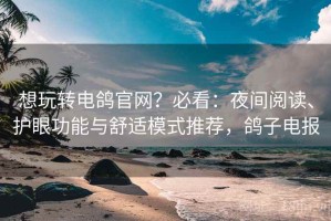 想玩转电鸽官网？必看：夜间阅读、护眼功能与舒适模式推荐，鸽子电报