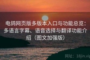 电鸽网页版多版本入口与功能总览：多语言字幕、语音选择与翻译功能介绍（图文加强版）