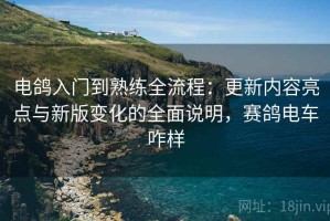 电鸽入门到熟练全流程：更新内容亮点与新版变化的全面说明，赛鸽电车咋样