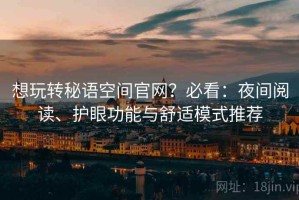 想玩转秘语空间官网？必看：夜间阅读、护眼功能与舒适模式推荐