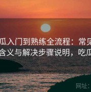 17吃瓜入门到熟练全流程：常见错误提示含义与解决步骤说明，吃瓜准则