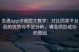 岛遇app详细图文教学：对比同类平台后的优势与不足分析，遇岛项目成功的原因