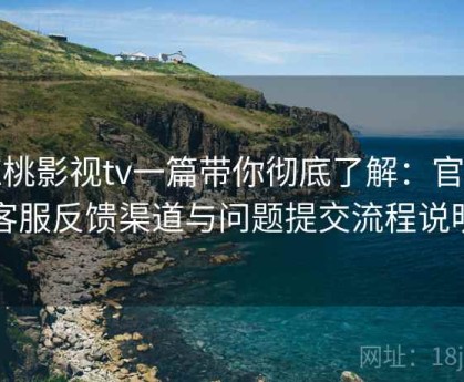 红桃影视tv一篇带你彻底了解：官方客服反馈渠道与问题提交流程说明