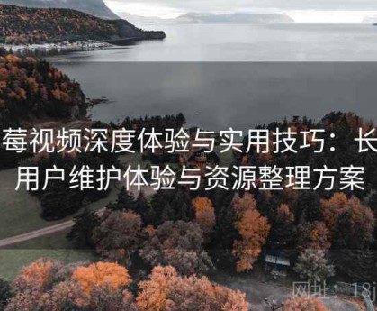 草莓视频深度体验与实用技巧：长期用户维护体验与资源整理方案