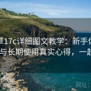 一起草17c详细图文教学：新手体验反馈与长期使用真实心得，一起it