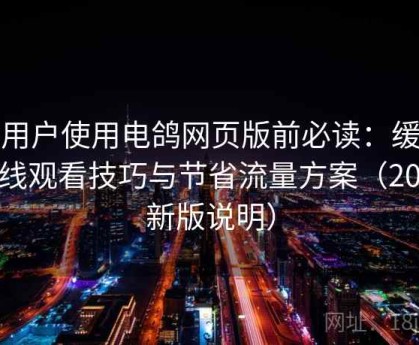 新用户使用电鸽网页版前必读：缓存离线观看技巧与节省流量方案（2025新版说明）