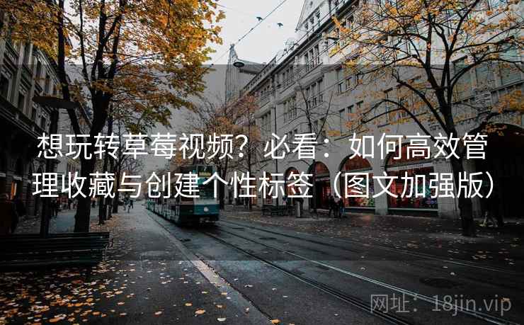 想玩转草莓视频?必看:如何高效管理收藏与创建个性标签(图文加强版) 想玩转草莓视频?必看:如何高效管理收藏与创建个性标签(图文加强版)