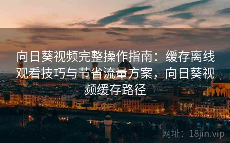 向日葵视频完整操作指南：缓存离线观看技巧与节省流量方案，向日葵视频缓存路径