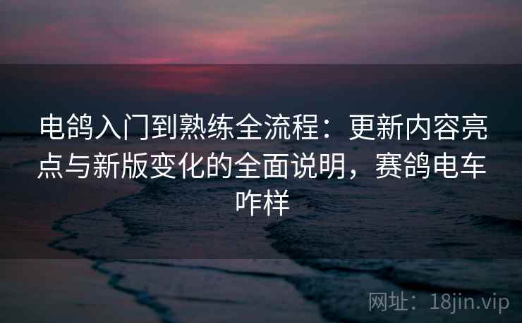 电鸽入门到熟练全流程：更新内容亮点与新版变化的全面说明，赛鸽电车咋样