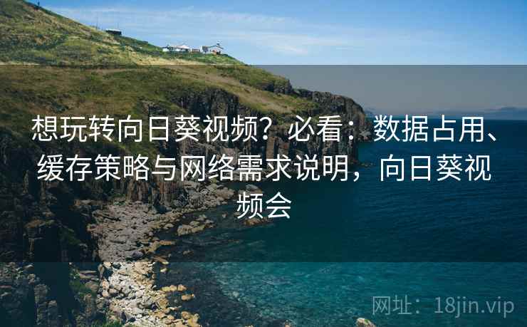 想玩转向日葵视频?必看:数据占用、缓存策略与网络需求说明,向日葵视频会 想玩转向日葵视频?必看:数据占用、缓存策略与网络需求说明,向日葵视频会