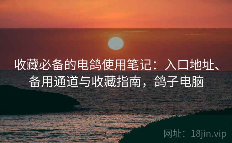 收藏必备的电鸽使用笔记：入口地址、备用通道与收藏指南，鸽子电脑