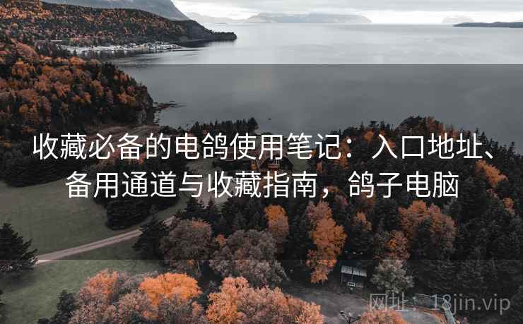 收藏必备的电鸽使用笔记：入口地址、备用通道与收藏指南，鸽子电脑
